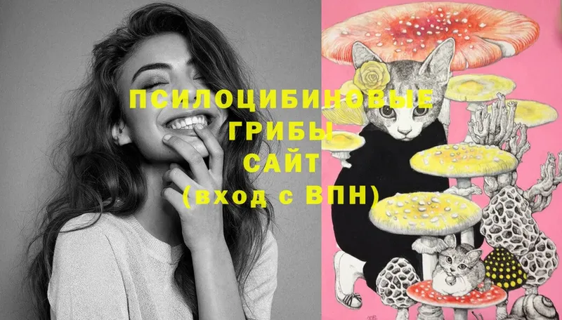 блэк спрут как войти  Агидель  Галлюциногенные грибы Cubensis 